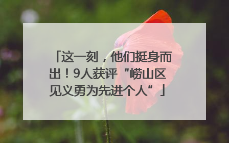 这一刻，他们挺身而出！9人获评“崂山区见义勇为先进个人”