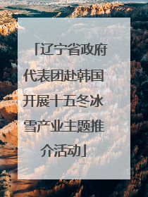 辽宁省政府代表团赴韩国开展十五冬冰雪产业主题推介活动
