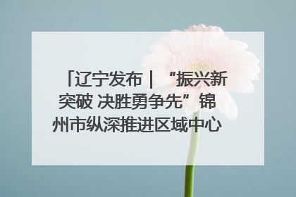 辽宁发布｜“振兴新突破 决胜勇争先”锦州市纵深推进区域中心城市建设 打造高质量发展新增长极