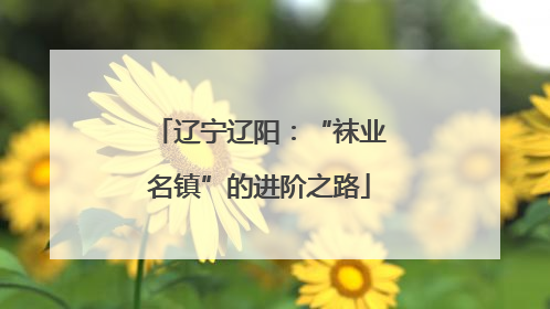 辽宁辽阳：“袜业名镇”的进阶之路