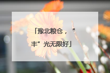 豫北粮仓，“丰”光无限好