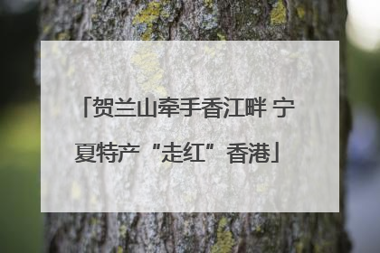 贺兰山牵手香江畔 宁夏特产“走红”香港