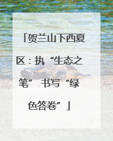 贺兰山下西夏区：执“生态之笔” 书写“绿色答卷”