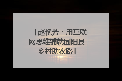 赵艳芳：用互联网思维铺就固阳县乡村助农路