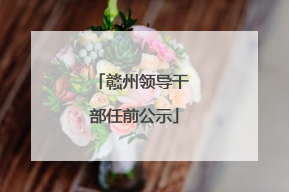 赣州领导干部任前公示