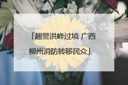 超警洪峰过境 广西柳州消防转移民众