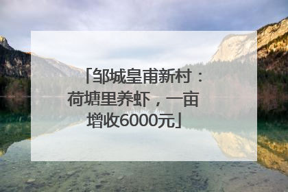 邹城皇甫新村：荷塘里养虾，一亩增收6000元