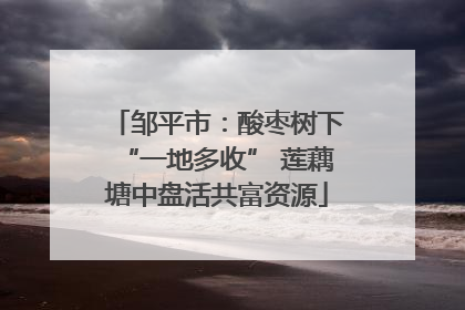 邹平市：酸枣树下“一地多收” 莲藕塘中盘活共富资源
