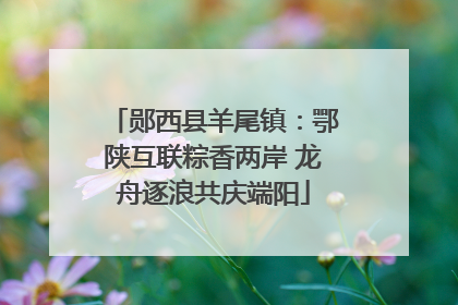 郧西县羊尾镇：鄂陕互联粽香两岸 龙舟逐浪共庆端阳