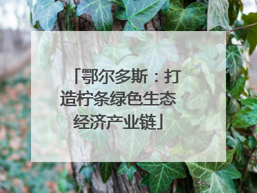 鄂尔多斯：打造柠条绿色生态经济产业链