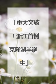 重大突破！浙江首例克隆湖羊诞生