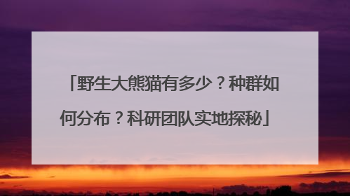 野生大熊猫有多少？种群如何分布？科研团队实地探秘