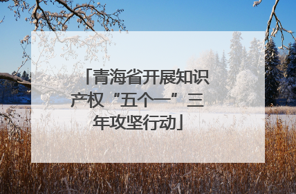 青海省开展知识产权“五个一”三年攻坚行动