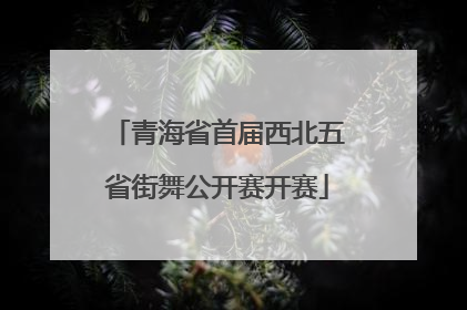 青海省首届西北五省街舞公开赛开赛