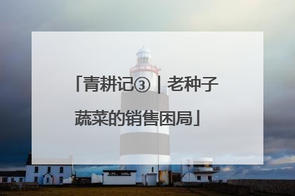 青耕记③｜老种子蔬菜的销售困局