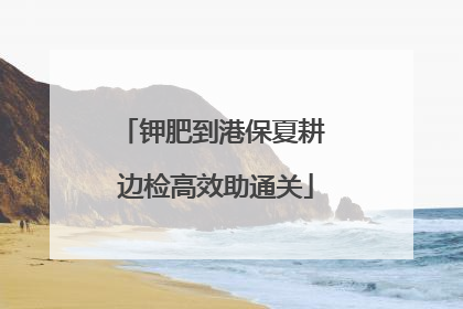 钾肥到港保夏耕 边检高效助通关