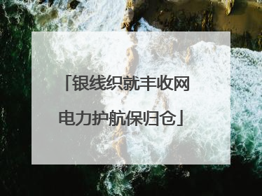 银线织就丰收网 电力护航保归仓