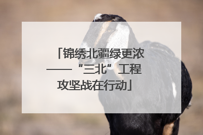 锦绣北疆绿更浓——“三北”工程攻坚战在行动