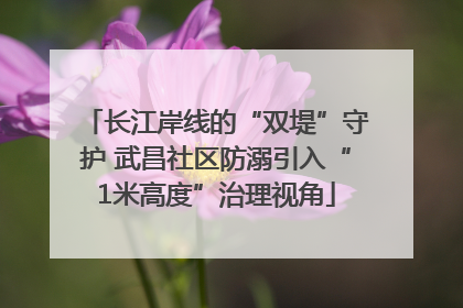 长江岸线的“双堤”守护 武昌社区防溺引入“1米高度”治理视角