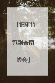镇雄竹笋飘香南博会