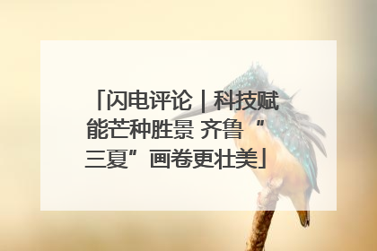 闪电评论｜科技赋能芒种胜景 齐鲁“三夏”画卷更壮美