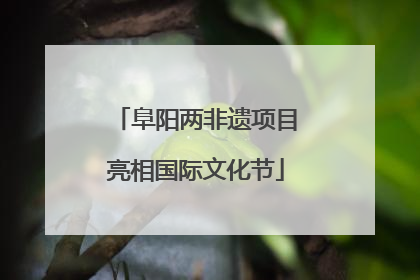 阜阳两非遗项目亮相国际文化节