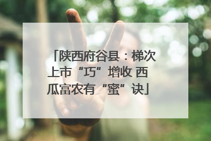 陕西府谷县：梯次上市“巧”增收 西瓜富农有“蜜”诀