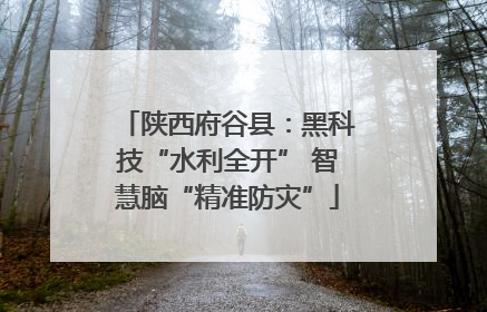 陕西府谷县：黑科技“水利全开” 智慧脑“精准防灾”