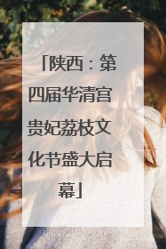 陕西：第四届华清宫贵妃荔枝文化节盛大启幕