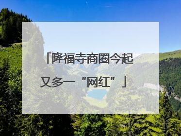 隆福寺商圈今起又多一“网红”