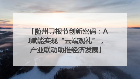 随州寻根节创新密码：AI赋能实现“云端观礼”，产业联动助推经济发展