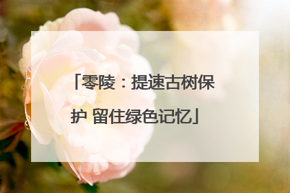 零陵：提速古树保护 留住绿色记忆