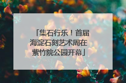 集石行乐！首届海淀石刻艺术周在紫竹院公园开幕