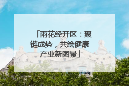 雨花经开区：聚链成势，共绘健康产业新图景