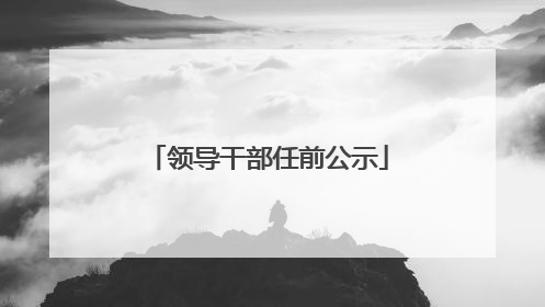 领导干部任前公示