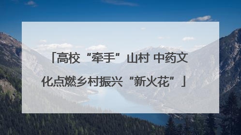 高校“牵手”山村 中药文化点燃乡村振兴“新火花”