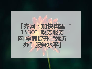 齐河：加快构建“1530”政务服务圈 全面提升“就近办”服务水平