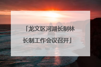 龙文区河湖长制林长制工作会议召开