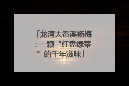 龙湾大岙溪杨梅：一颗“红盘绿蒂”的千年滋味