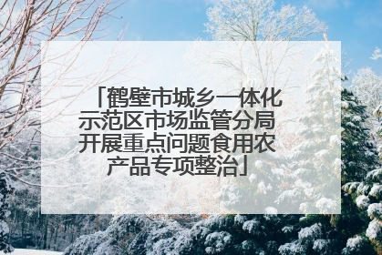 鹤壁市城乡一体化示范区市场监管分局开展重点问题食用农产品专项整治