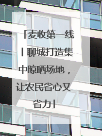 麦收第一线丨聊城打造集中晾晒场地，让农民省心又省力