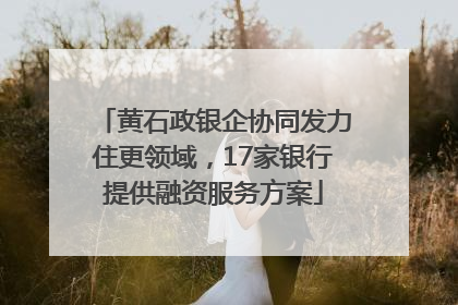黄石政银企协同发力住更领域，17家银行提供融资服务方案