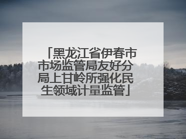黑龙江省伊春市市场监管局友好分局上甘岭所强化民生领域计量监管