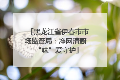 黑龙江省伊春市市场监管局：净网清厨 “味”爱守护