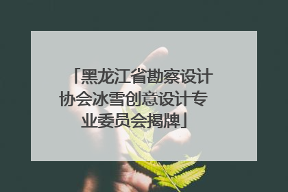 黑龙江省勘察设计协会冰雪创意设计专业委员会揭牌