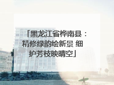 黑龙江省桦南县：精修绿韵绘新景 细护芳枝映晴空