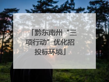 黔东南州“三项行动”优化招投标环境