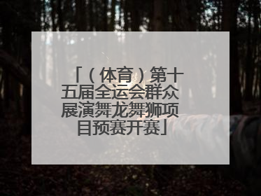 （体育）第十五届全运会群众展演舞龙舞狮项目预赛开赛