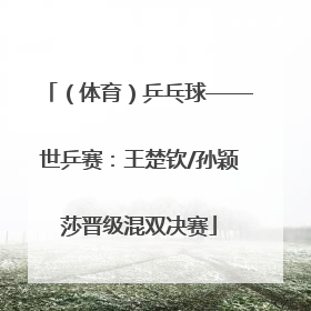 （体育）乒乓球——世乒赛：王楚钦/孙颖莎晋级混双决赛