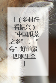 （乡村行·看振兴）“中国瓜菜之乡”：“莓”好前景 四季生金